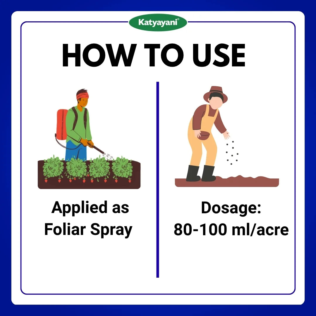 Katyayani Chloda | Chlorantraniliprole 9.3% + Lambda Cyhalothrin 4.6% ZC | Chemical insecticide 