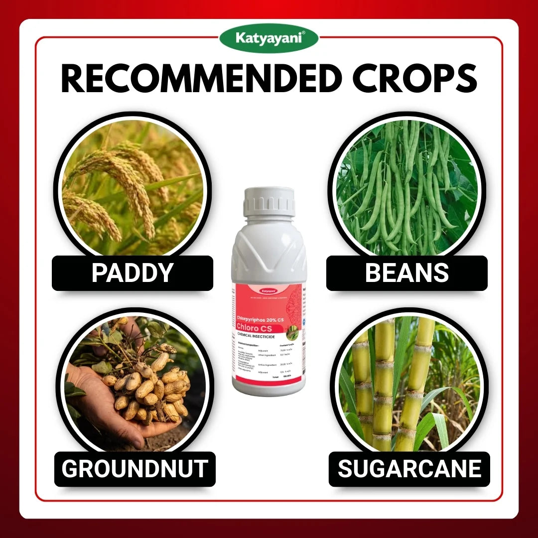 Katyayani Chloro CS | Chloropyriphos 20 % CS | Chemical insecticide 