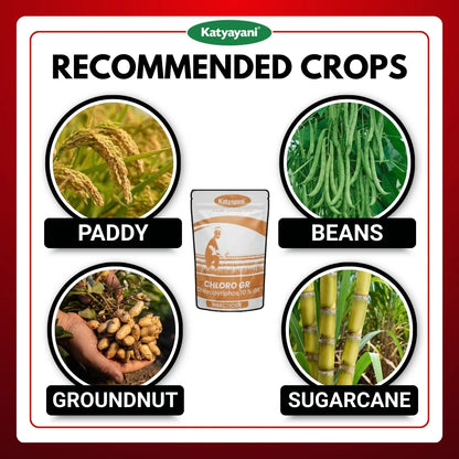 Katyayani Chloro GR | Chloropyriphos 10 % GR | Chemical insecticide 