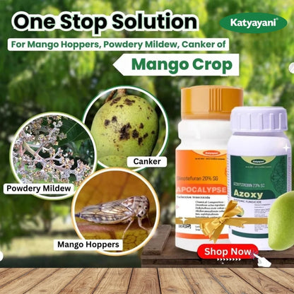 Katyayani Mango Post Flowering Combo (Azoxy (250 ml) + Apocalypse (100 gm)) 
