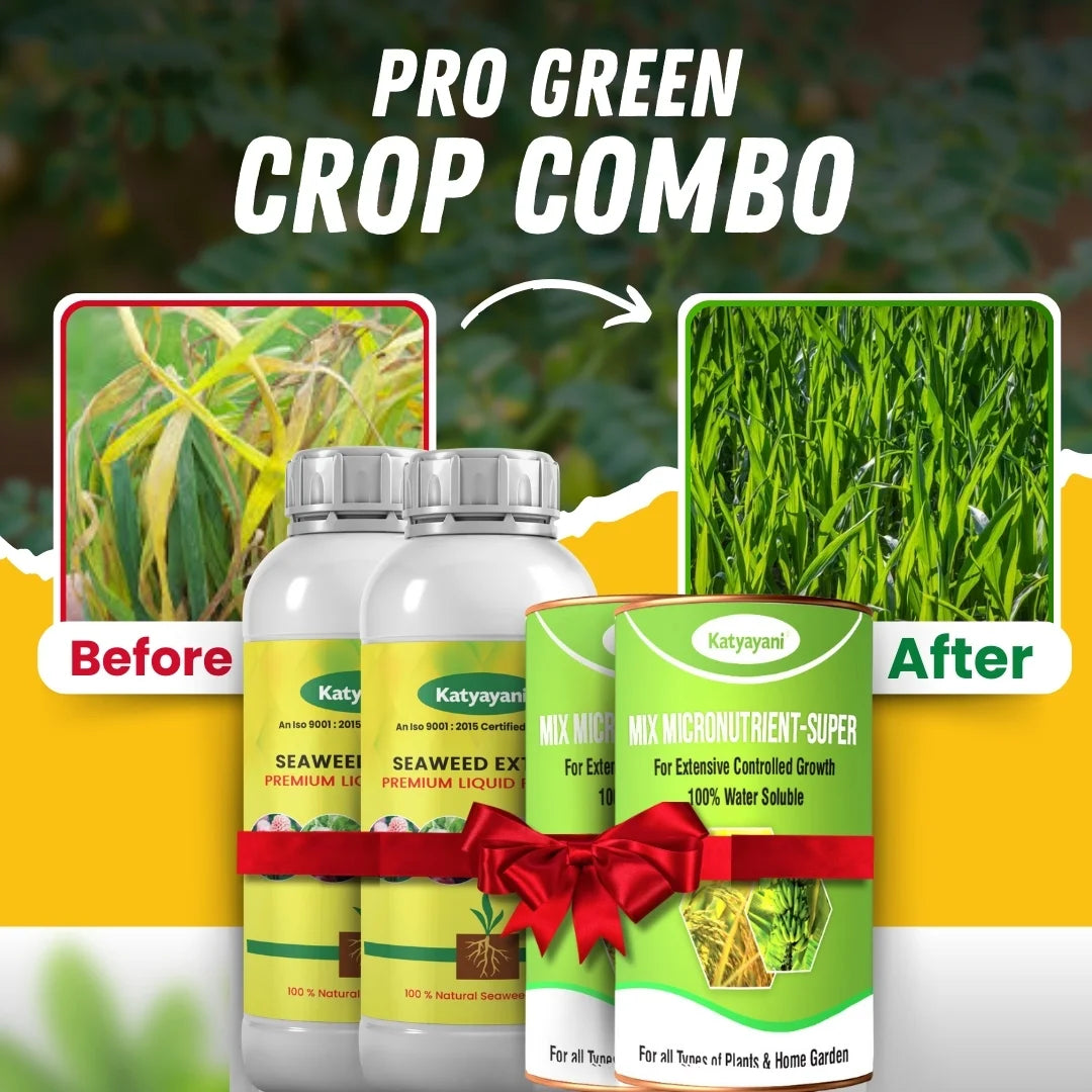 Katyayani Pro green crop combo | For Healthy and Green fields | For yellowing leaves in Crops 