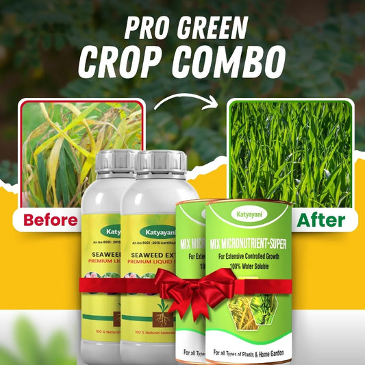 Katyayani Pro green crop combo | For Healthy and Green fields | For yellowing leaves in Crops 