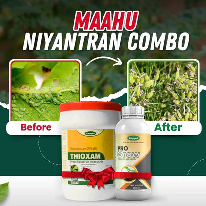 Katyayani Cumin: Maahu Niyantran Combo