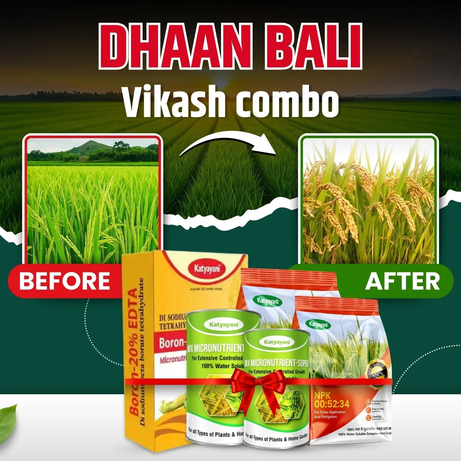 Katyayani Dhan bali vikas combo for 2 Acre