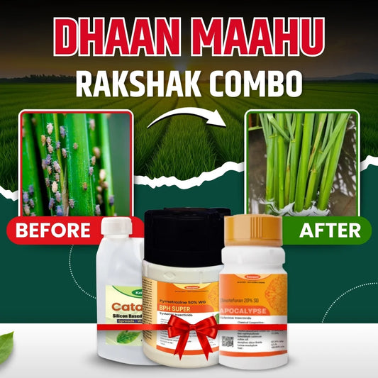 Katyayani Dhaan Mahu Rakshak Combo