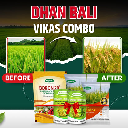 Katyayani Dhan bali vikas combo for 2 Acre 