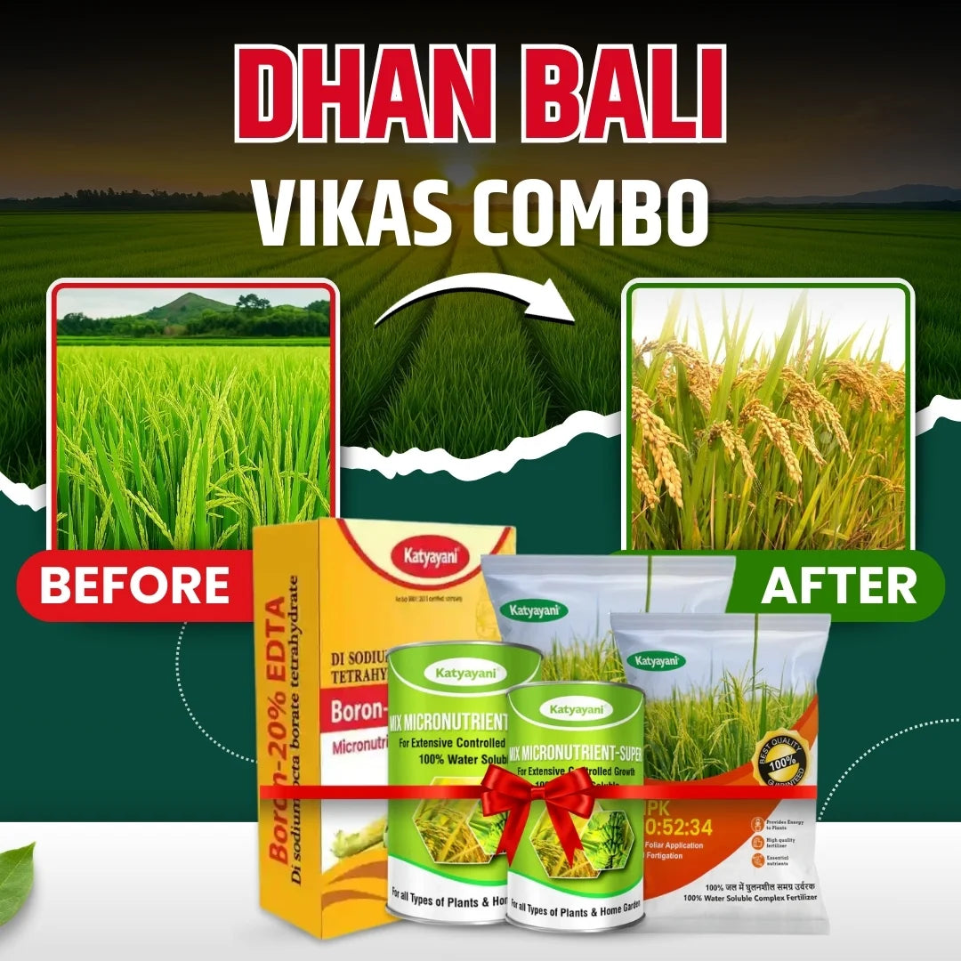 Katyayani Dhan bali vikas combo for 2 Acre