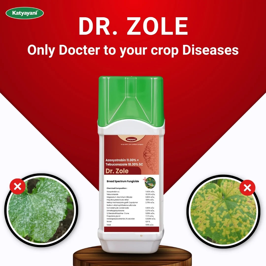 Katyayani Dr. Zole | Azoxystrobin 11% + Tebuconazole 18.3% SC | Chemical Fungicide 
