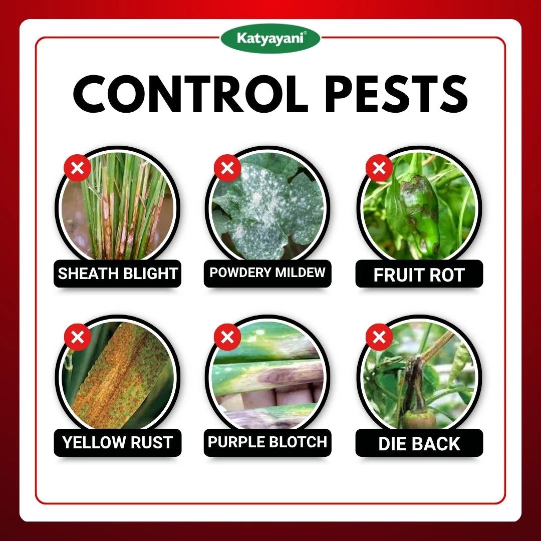 Katyayani Dr. Zole | Azoxystrobin 11% + Tebuconazole 18.3% SC | Chemical Fungicide 