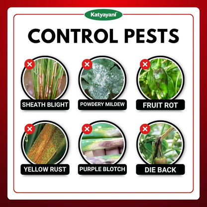 Katyayani Dr. Zole | Azoxystrobin 11% + Tebuconazole 18.3% SC | Chemical Fungicide 