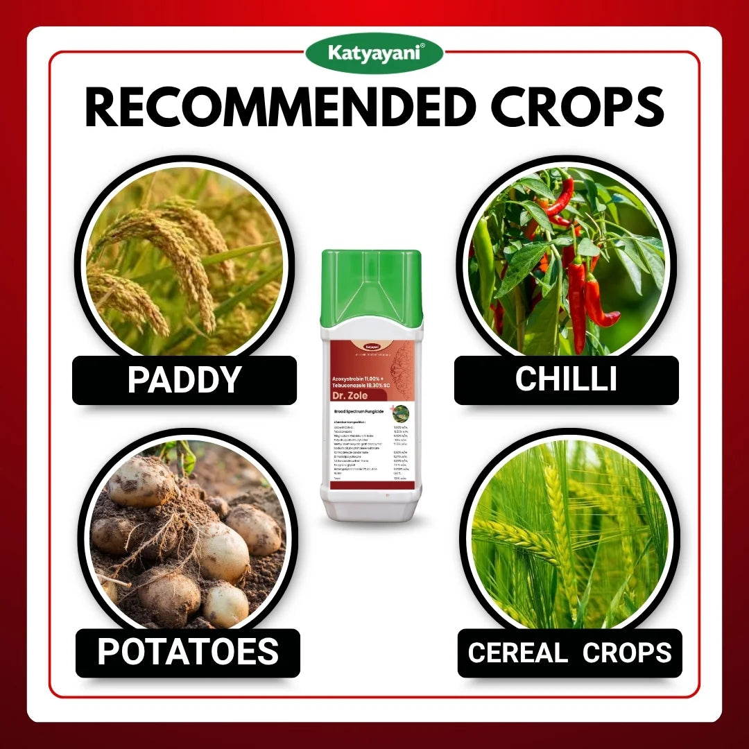 Katyayani Dr. Zole | Azoxystrobin 11% + Tebuconazole 18.3% SC | Chemical Fungicide 