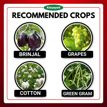 Katyayani EMA 5 | Emamectin Benzoate 5% SG Insecticide for Thrips, Pod borer, Fruit & Shoot Borer 