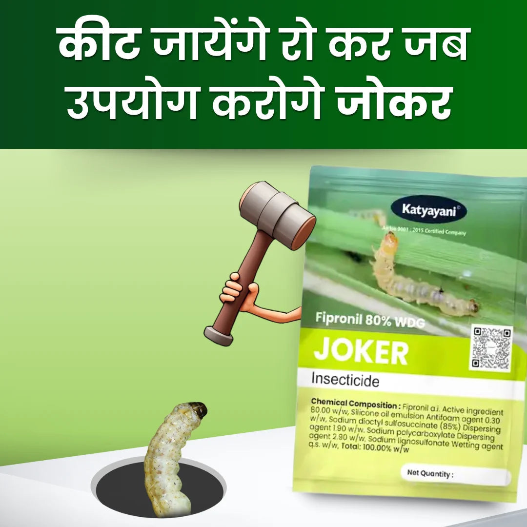 Katyayani Fiipronil 80% WG Insecticide in hindi 