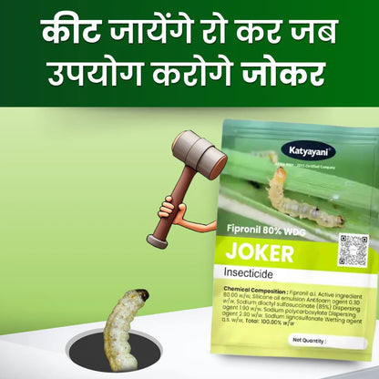 Katyayani Fiipronil 80% WG Insecticide in hindi 