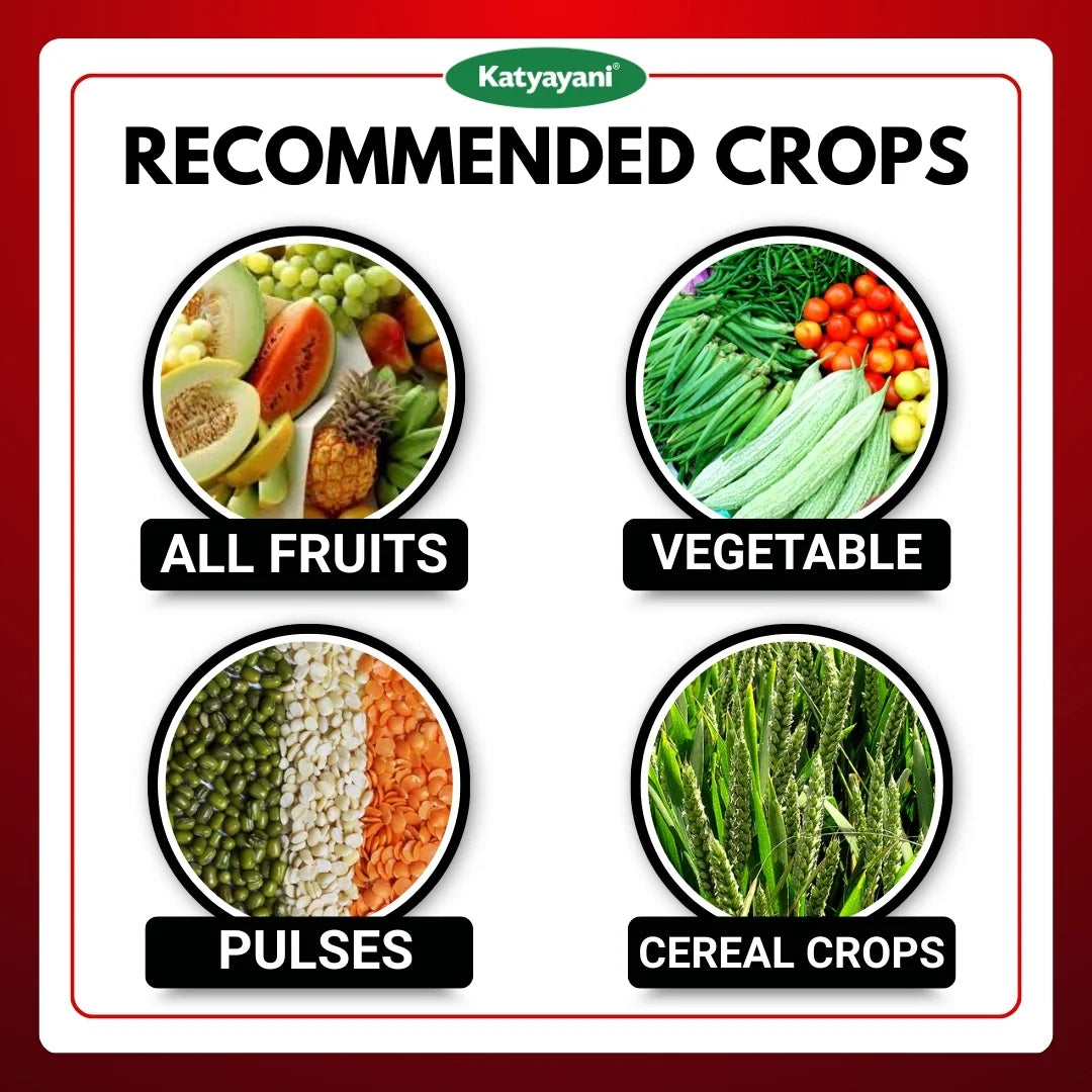 KATYAYANI FINISH IT | ALL IN ONE LARVICIDE | ORGANIC INSECTICIDE (Bulk Quantity) 