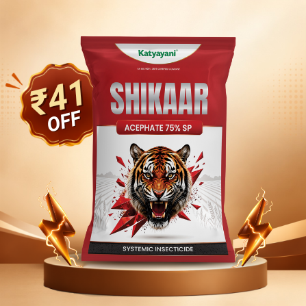 Katyayani Shikaar | Acephate 75% SP | Systemic Insecticide - 500 gm x 4 - Flash Sale