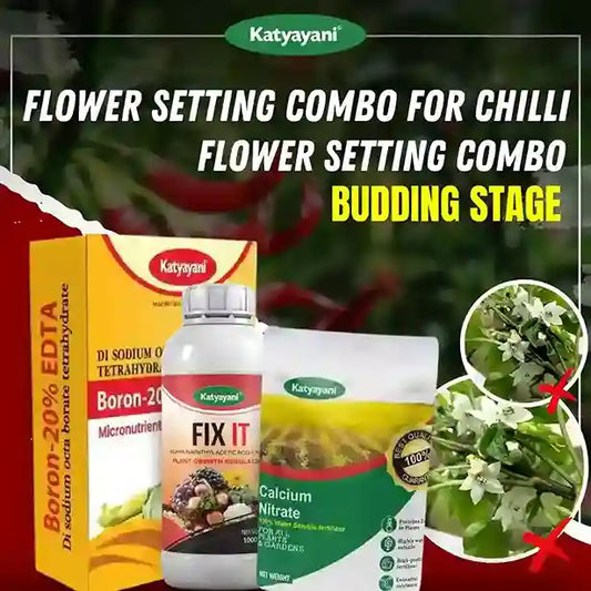 Katyayani Flower Setting Combo for Chilli | Budding Stage