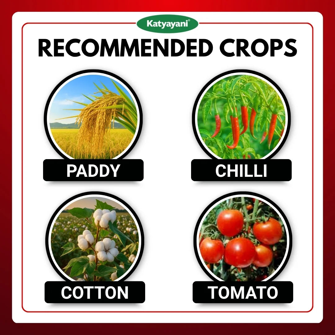 Katyayani Fluben | Flubendiamide 39.35% SC | Chemical Insecticide 