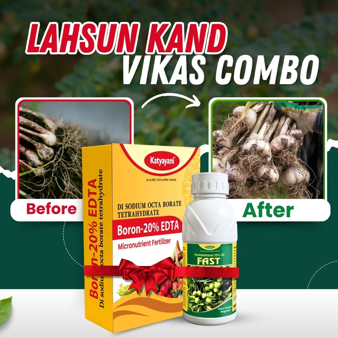 Katyayani Garlic - Lahsun Kand Vikas Combo | Bulb Formation Booster 