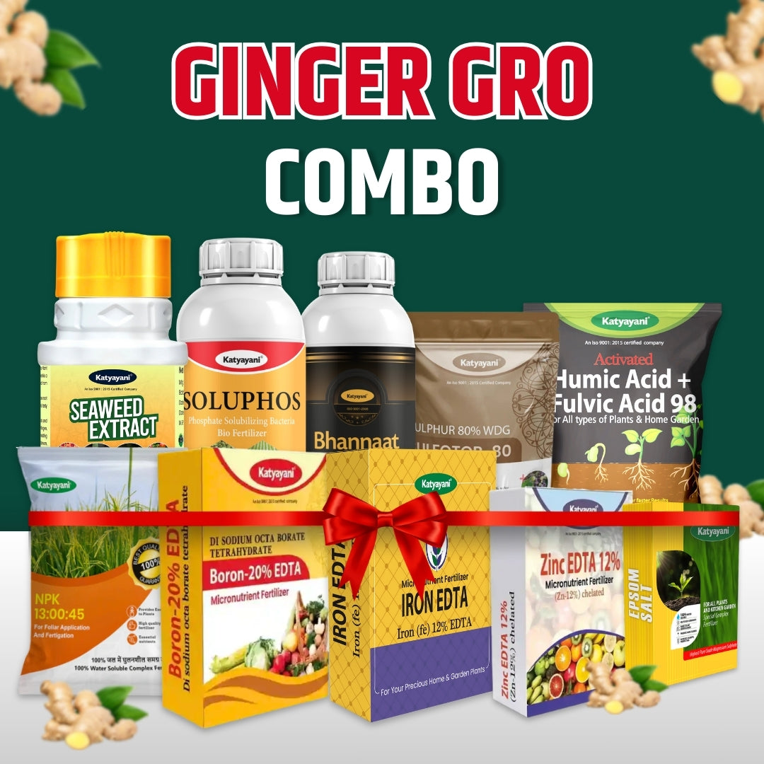 Katyayani Ginger Gro Combo 
