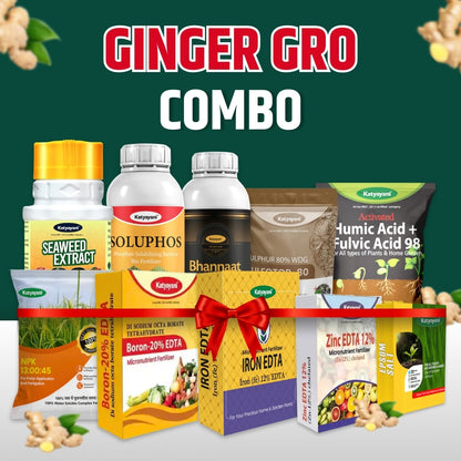 Katyayani Ginger Gro Combo 