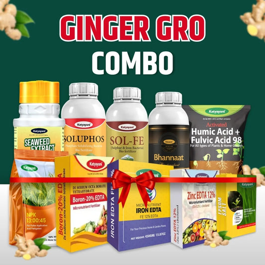 Katyayani Ginger Gro Combo