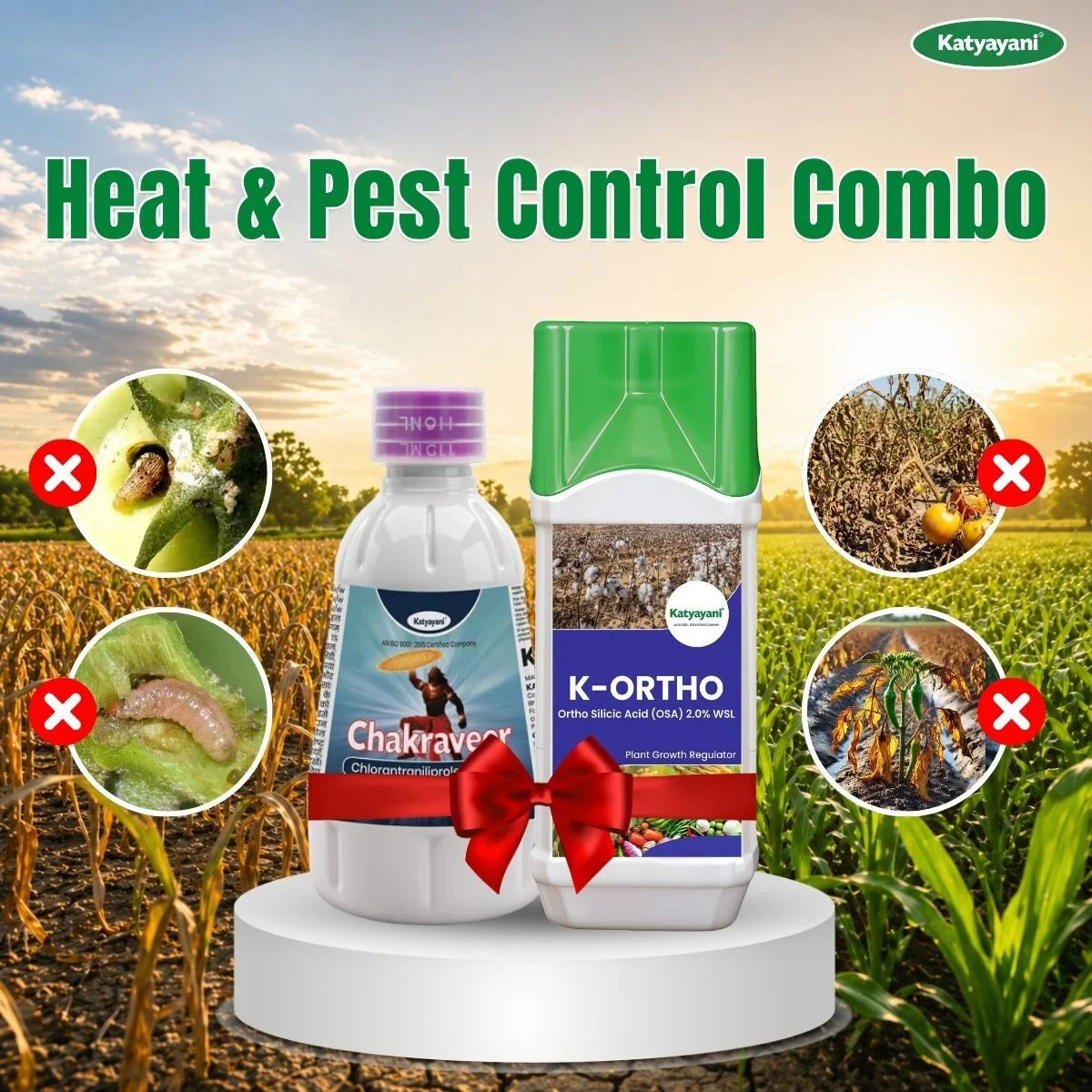 Katyayani Heat & Pest Control Combo