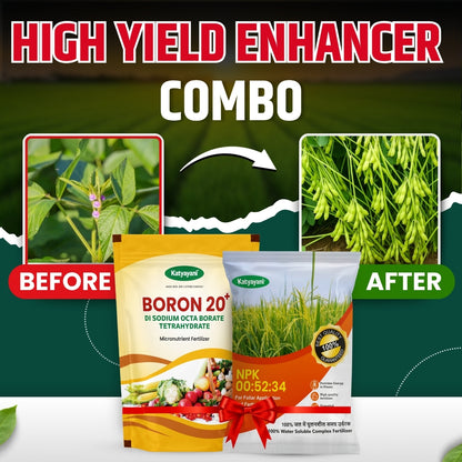 Katyayani High yield Enhancer Combo | NPK 00 52 34 (1KG) and Boron 20% EDTA Fertilizer (500GM) 