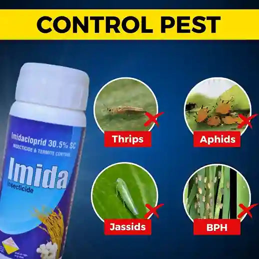 Imidan Insectide Buy Katyayani Imidacloprid 30.5 SC | Best for Termites & Pests