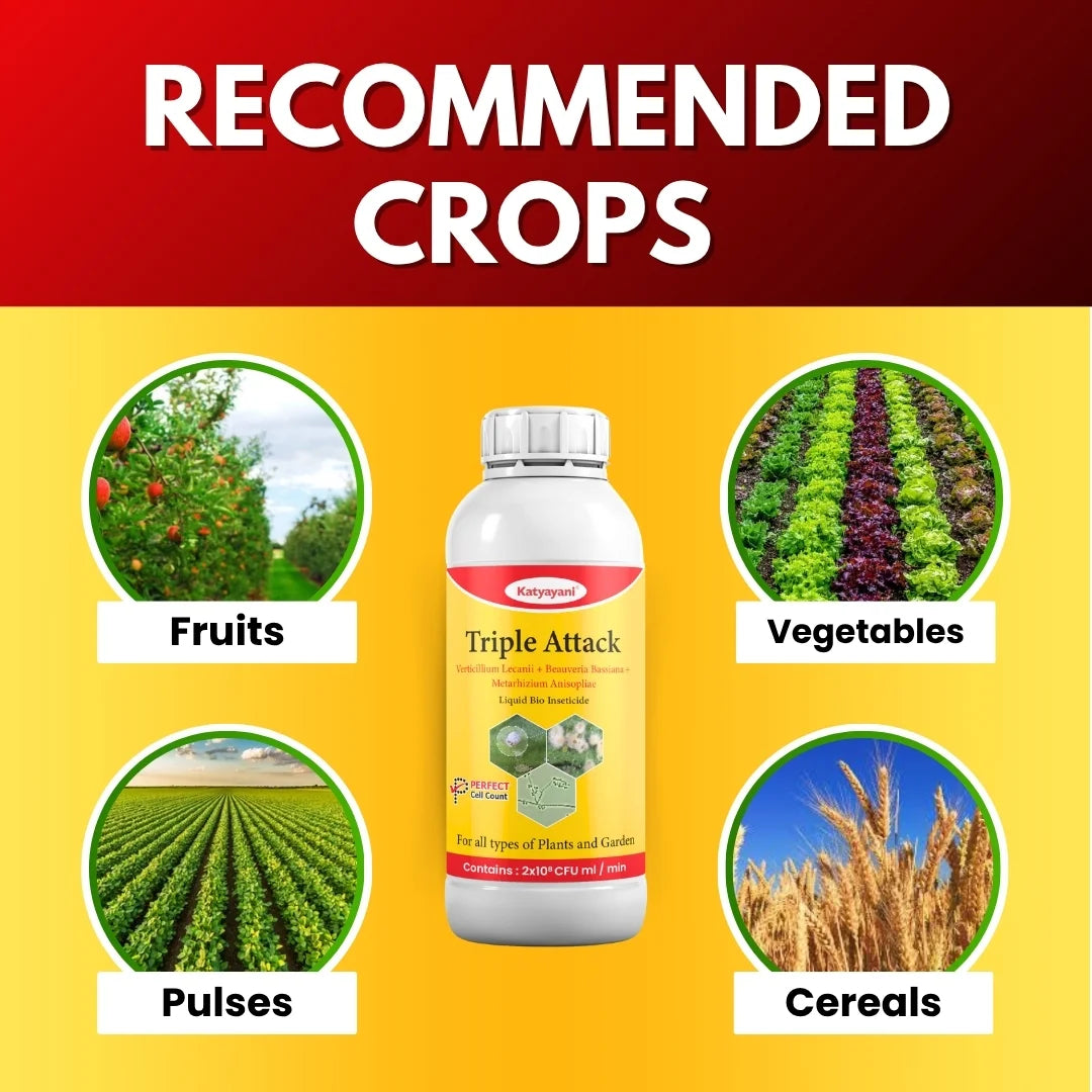 Katyayani Triple Attack Liquid | Bio-Insecticide for Borers