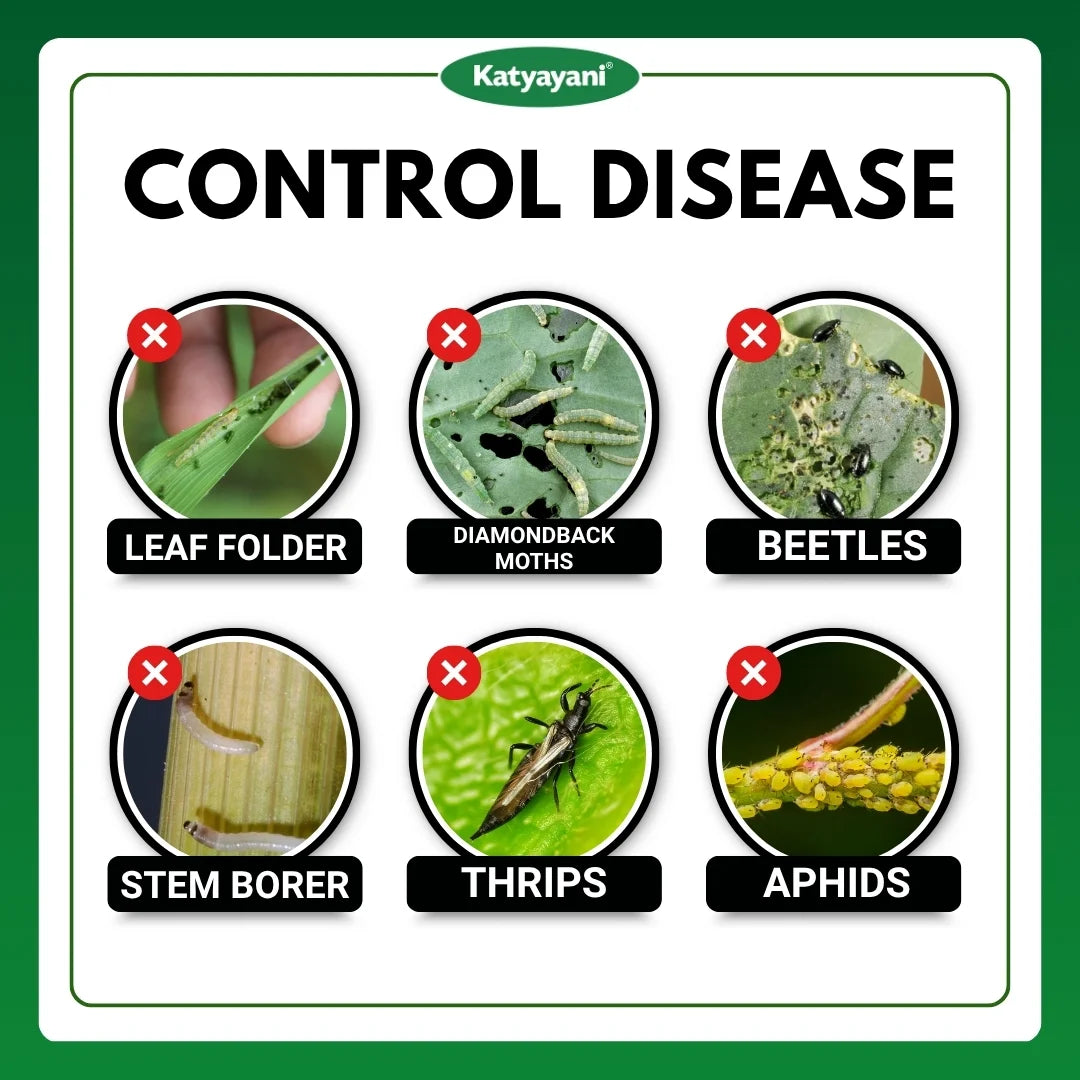 Katyayani Joker | Fipronil 80% WG | Chemical Insecticide 