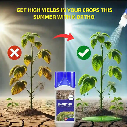 Katyayani K-Ortho | Orthosilicic Acid (OSA) 2% | Plant Growth Regulator