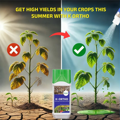 Katyayani K-Ortho | Orthosilicic Acid (OSA) 2% | Plant Growth Regulator 