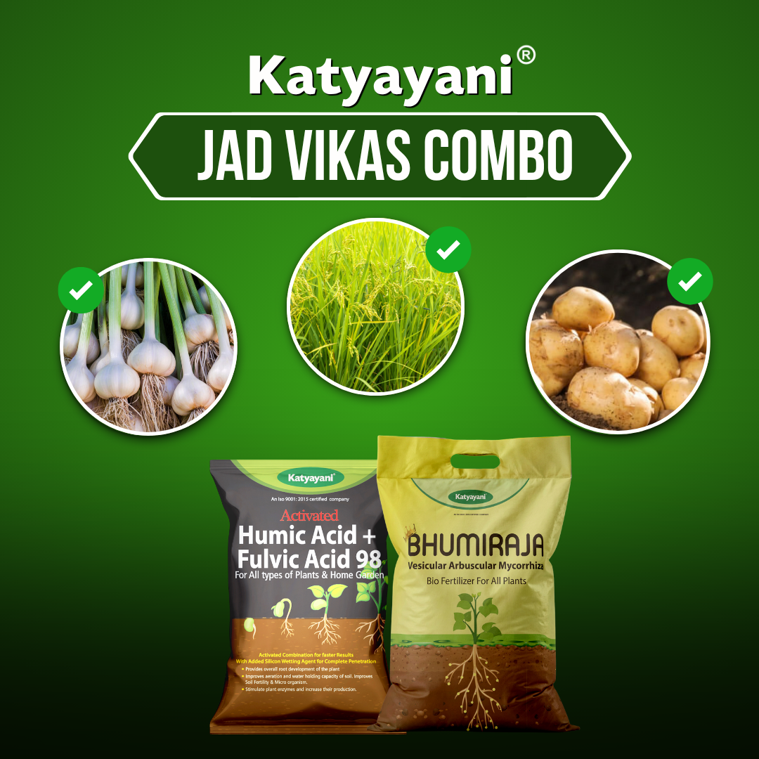 Katyayani JAD VIKAS COMBO 