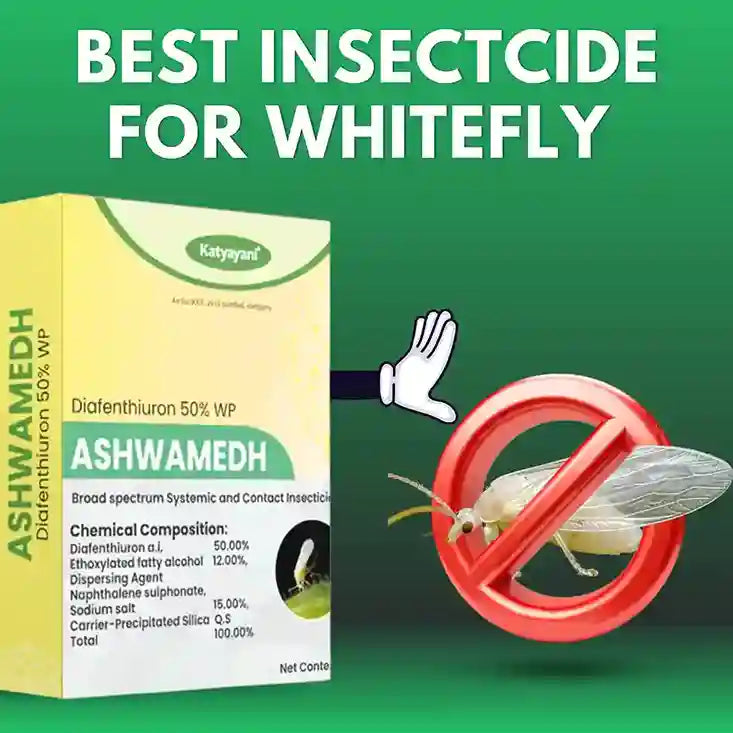Katyayani Ashwamedh Diafenthiuron 50% WP Insecticide fro whitefly