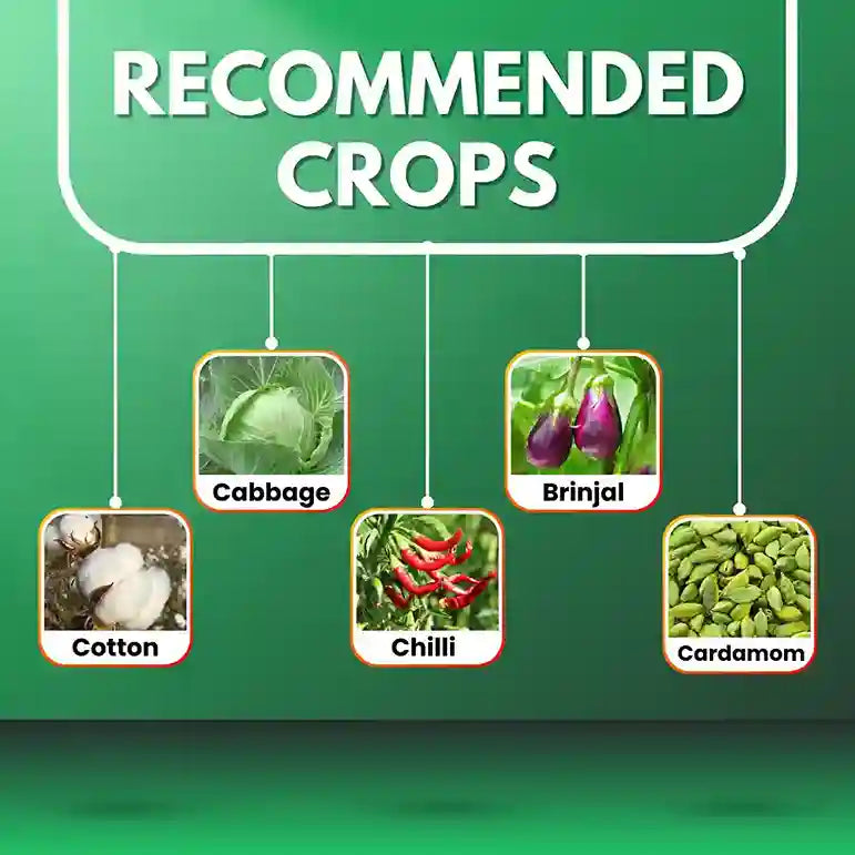 Katyayani Ashwamedh Diafenthiuron 50% WP Insecticide for chilli, cotton, brinjal