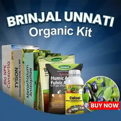 fertilizer for brinjal plant Buy Katyayani Brinjal Unnati Organic Kit