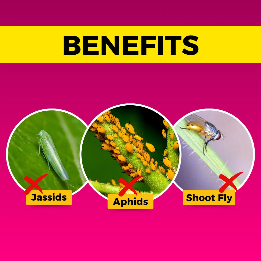 Katyayani Chakrawarti Insecticide | Thiamethoxam 12.6% + Lambda Cyhalothrin 9.5% Zc |  Control Aphids, Jassids, Bollworms 