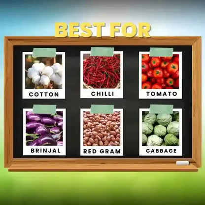 Best EMA 5 Insecticide | Krishi seva kendra