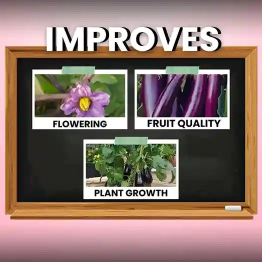 Katyayani Flowering Booster Fertilizer Improve plant growth & Fruit Quality | Krishi Seva Kendra