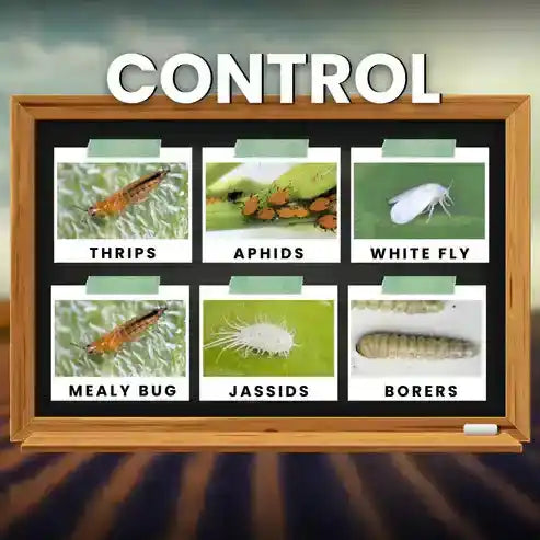 Triple Attack insecticide for pests