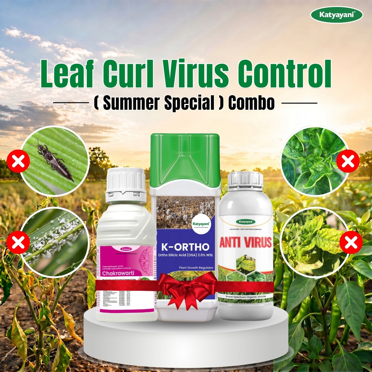 Katyayani Leaf Curl Virus Control (Summer Special) Combo