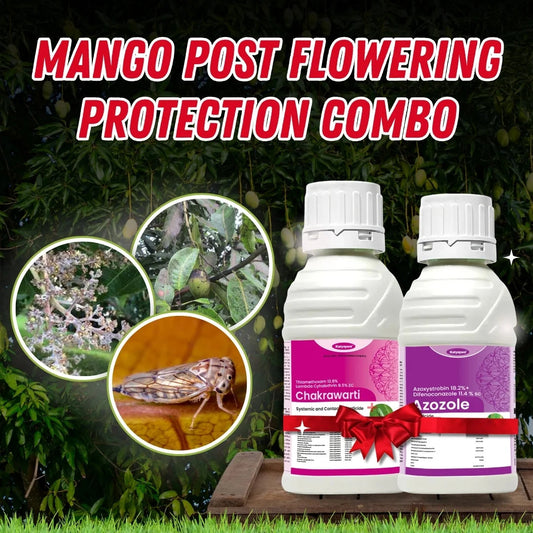 Katyayani Mango post flowering protection Combo 