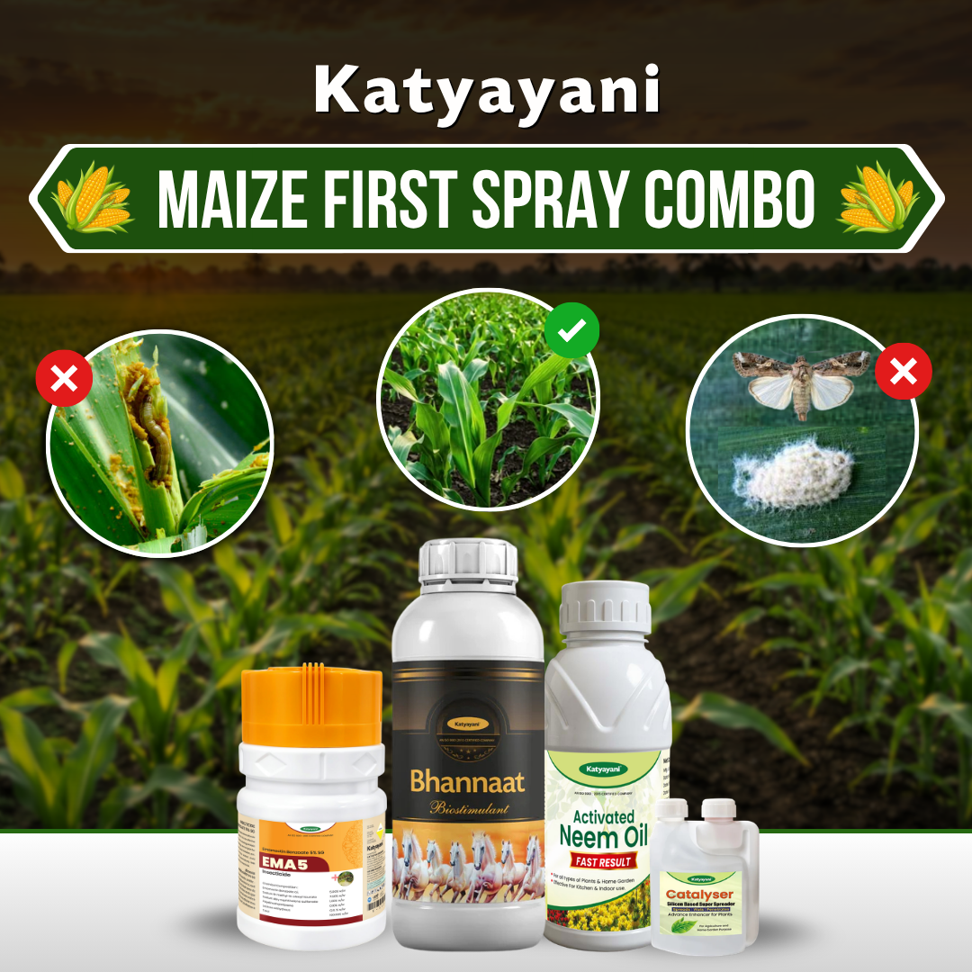 Katyayani Maize First Spray Combo 