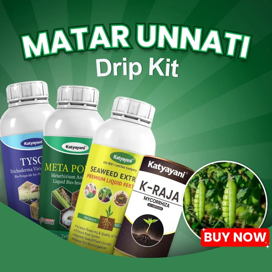 Katyayani Matar Unnati Drip Kit - Improve Pod Size & Yield