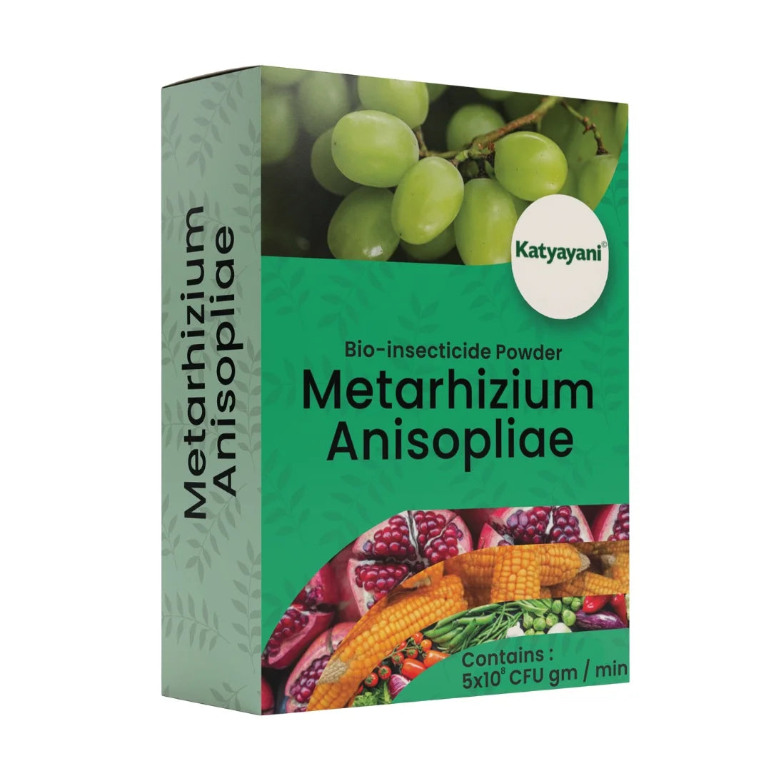 Katyayani Metarhizium Anisopliae | Powder Bio Insecticide 