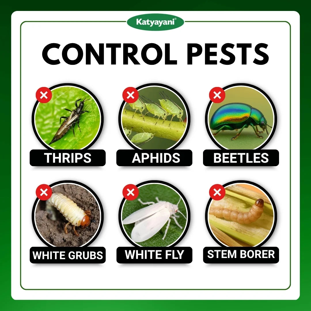 Katyayani Nashak | Fipronil 40% + Imidacloprid 40% WG | Pesticide for White grub Jassids, Thrips 
