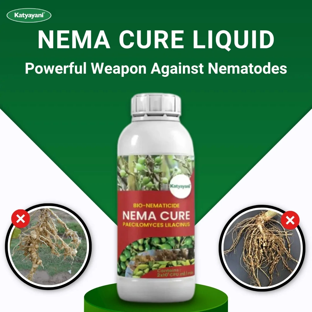 Katyayani Nema Cure | Paecilomyces Lilacinus Liquid | Cauliflower Pesticides & Cotton Pest Control 