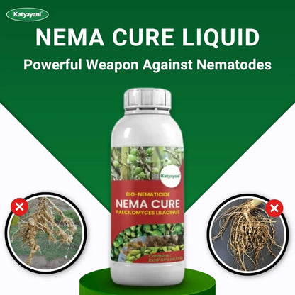 Katyayani Nema Cure | Paecilomyces Lilacinus Liquid | Cauliflower Pesticides & Cotton Pest Control 