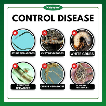 Katyayani Nema Cure | Paecilomyces Lilacinus Liquid | Cauliflower Pesticides & Cotton Pest Control 